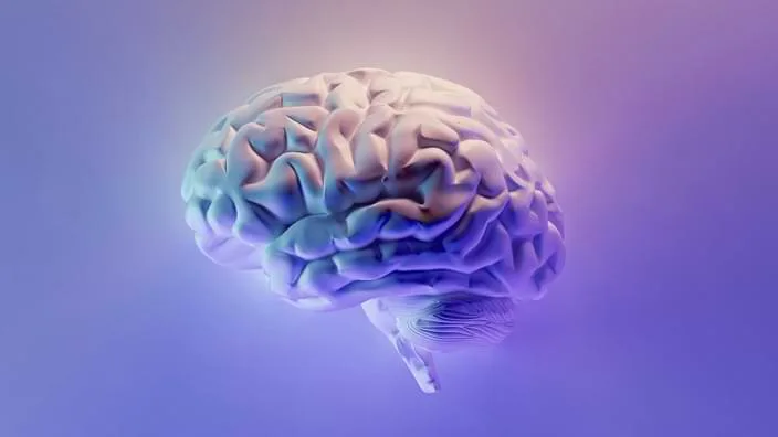 进阶技巧：成为资深球迷 - FIFA官网